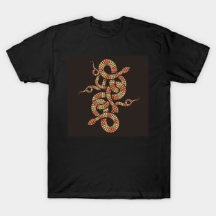 Snake Knot Chinese symbol of Good Fortune Emblem T-Shirt